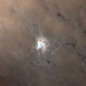 Meet your Posher, Jose